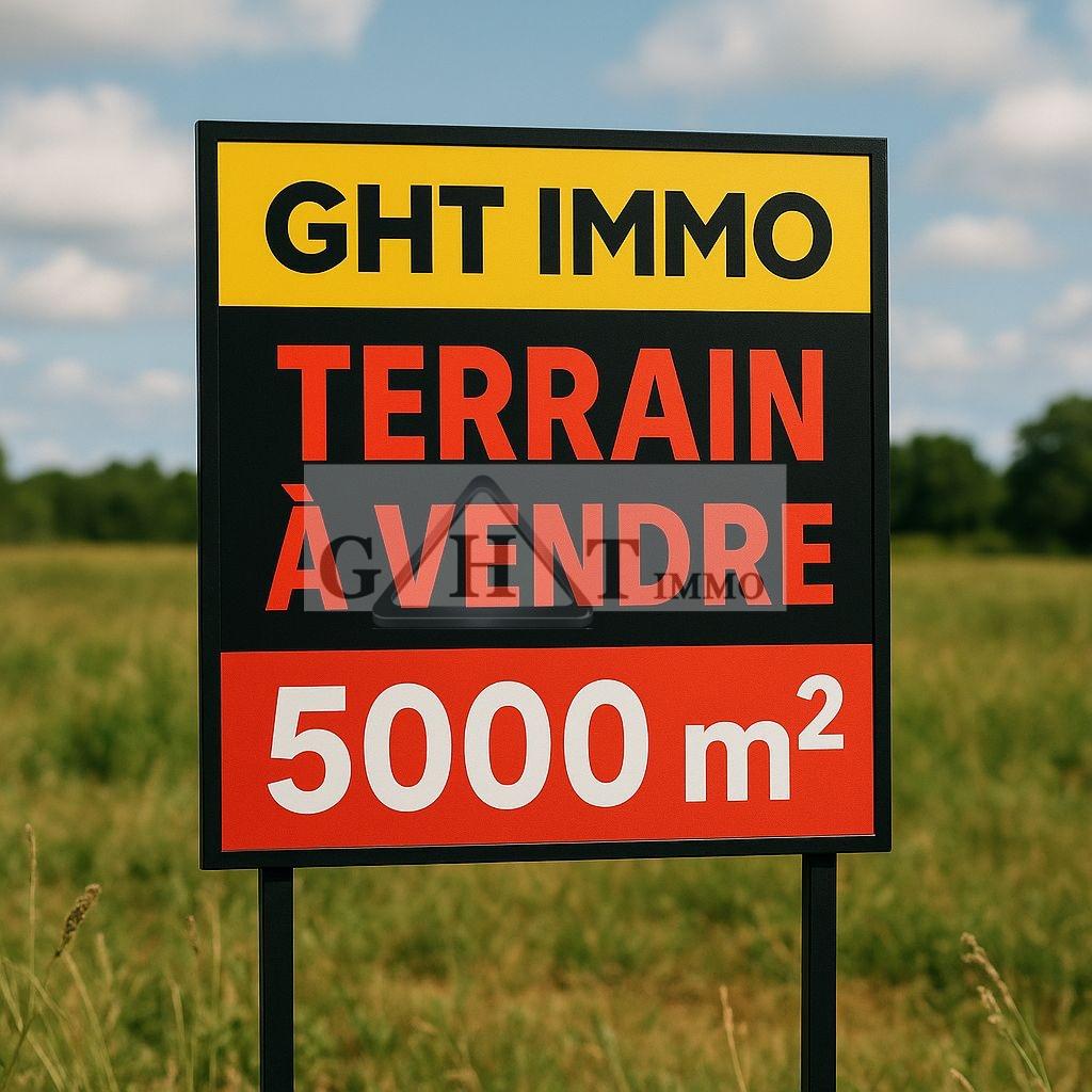 Terrain