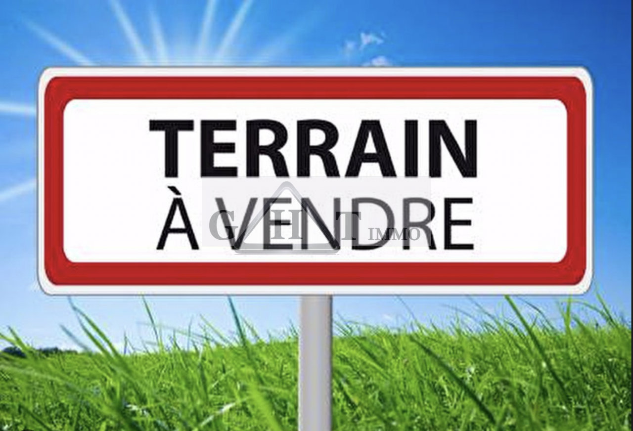 Terrain