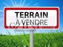 Terrain