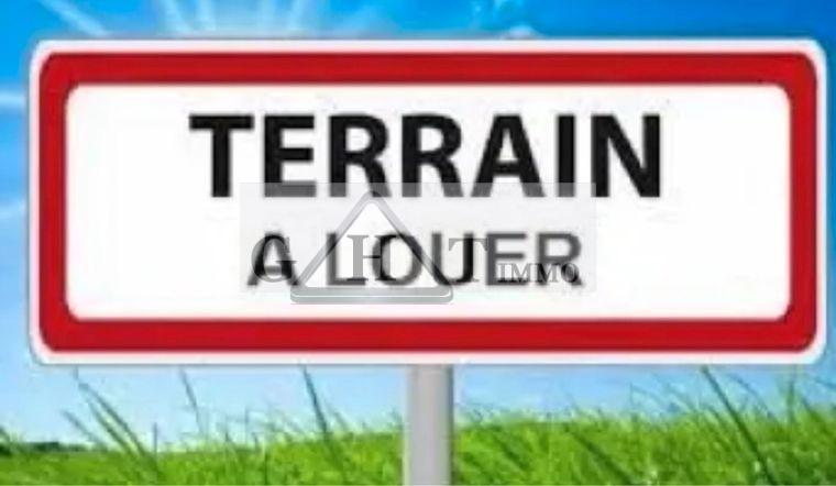 Terrain