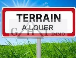 Terrain
